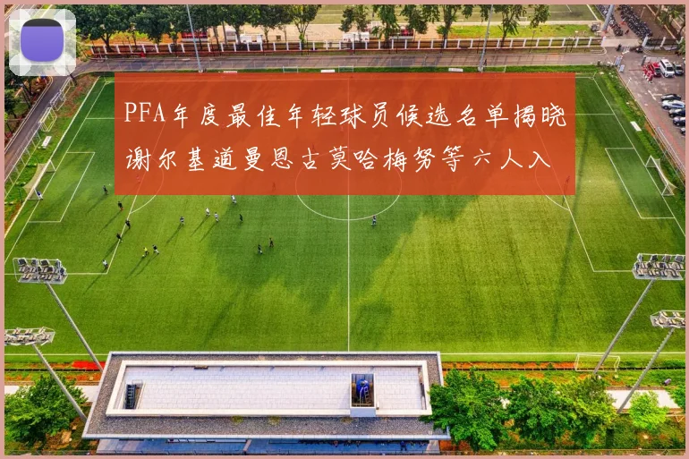 PFA年度最佳年轻球员候选名单揭晓谢尔基道曼恩古莫哈梅努等六人入围